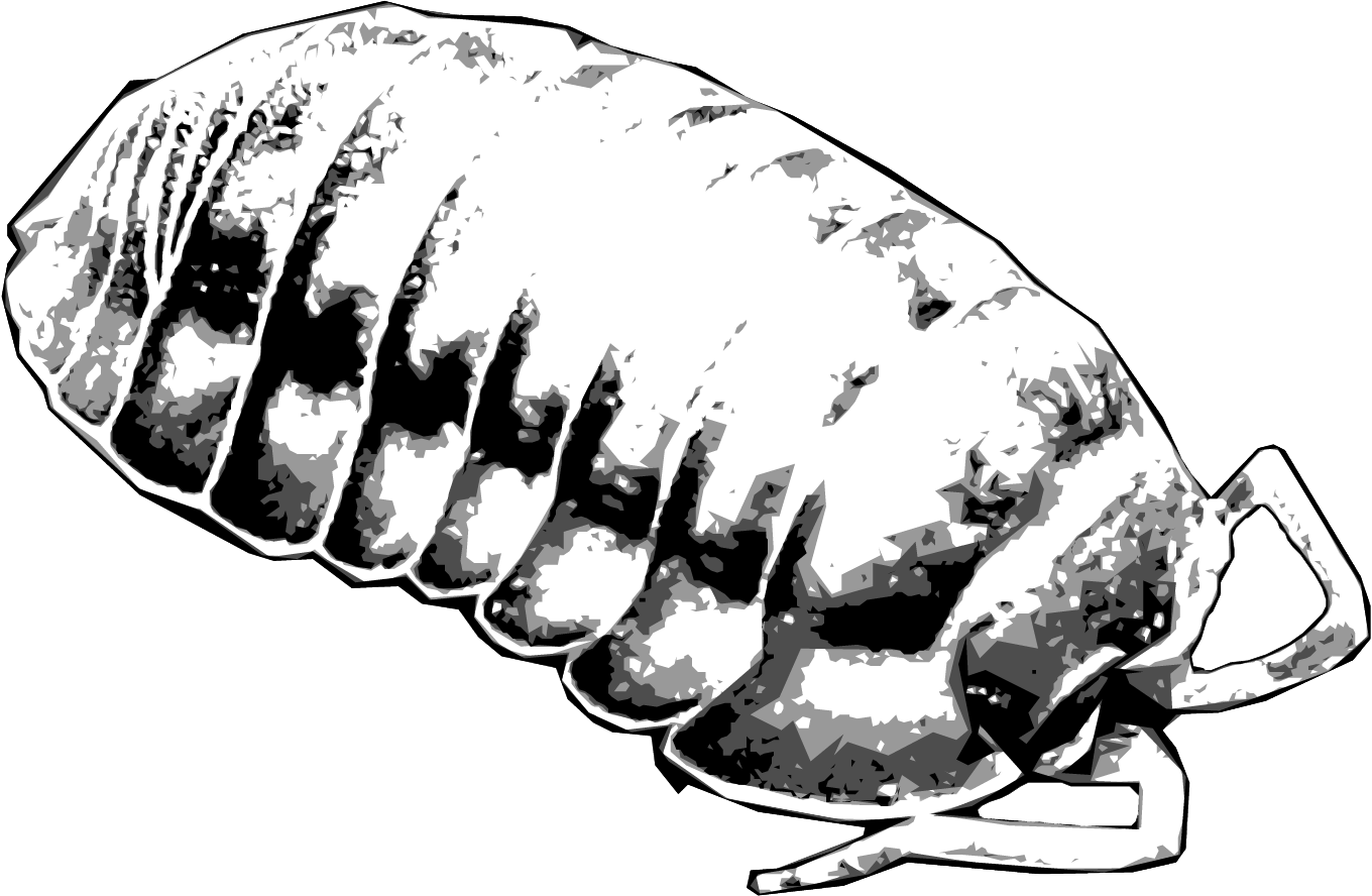 Logo Równonogi Polski
